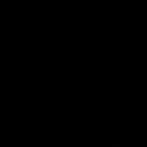 Meet your Posher, Randi